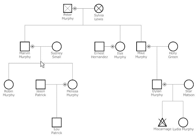 6-genogram-templates-formats-examples-in-word-excel