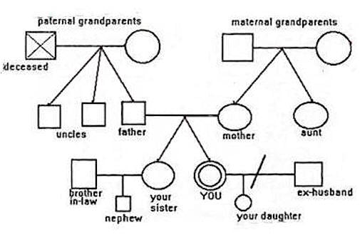 Family Genogram Template Word